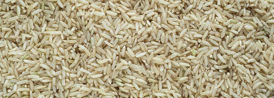 Brown Long Grain Rice Panorama Photograph