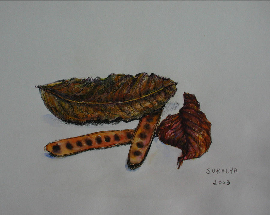 Brown of Leafs and Seeds Painting by Sukalya Chearanantana