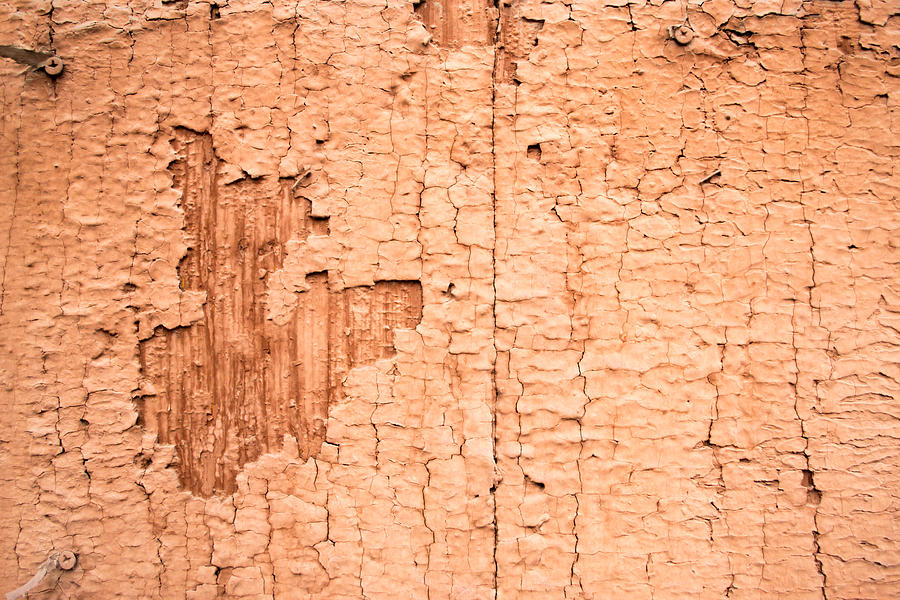 Brown Paint Texture Photograph by John Williams