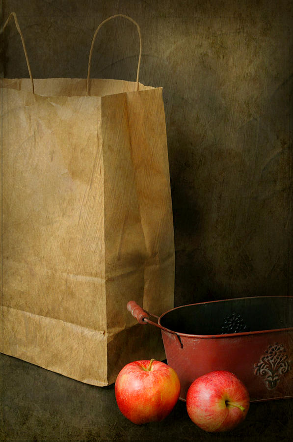 Brown Paper Bag Photograph by Diana Angstadt