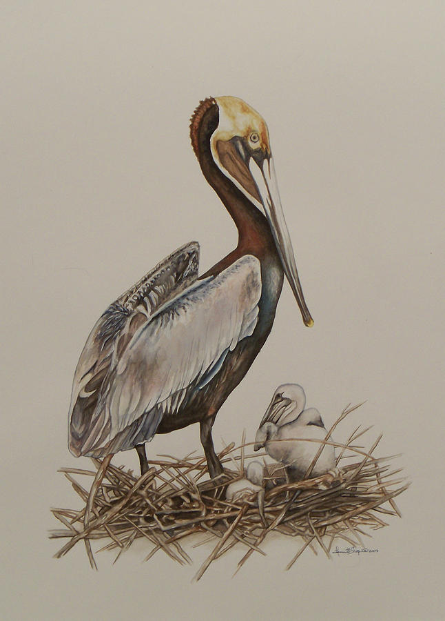 Brown Pelican and Chicks Painting by Laurie Tietjen