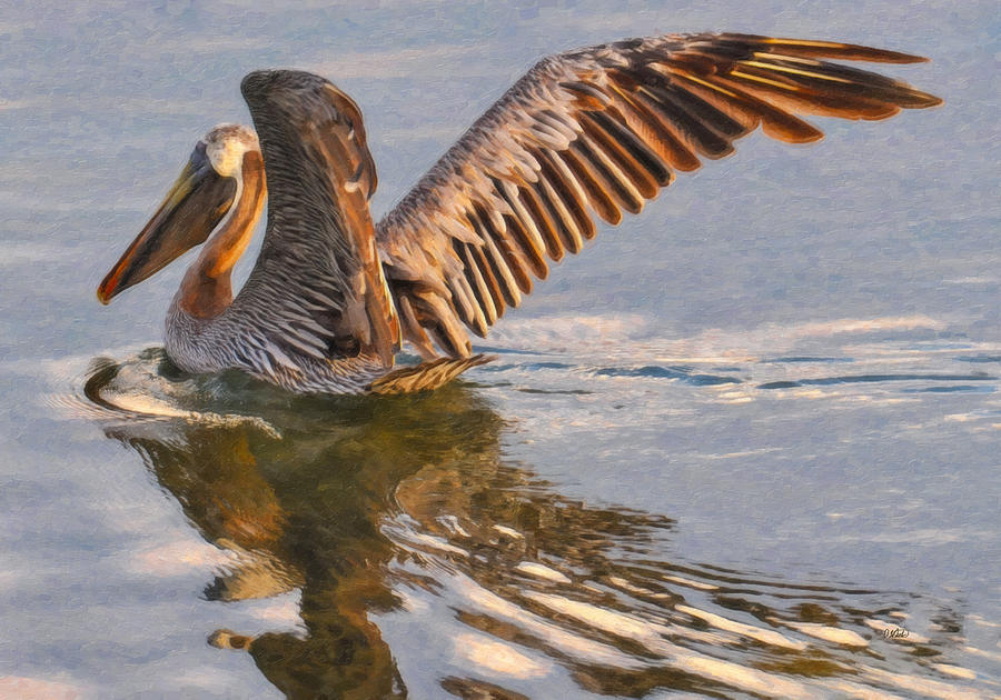 Brown Pelican BRD901006 Painting by Dean Wittle