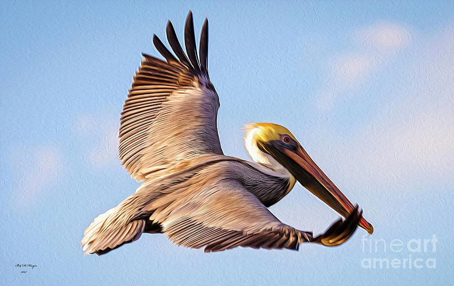 Brown Pelican In Flight - TWO Digital Art by DB Hayes