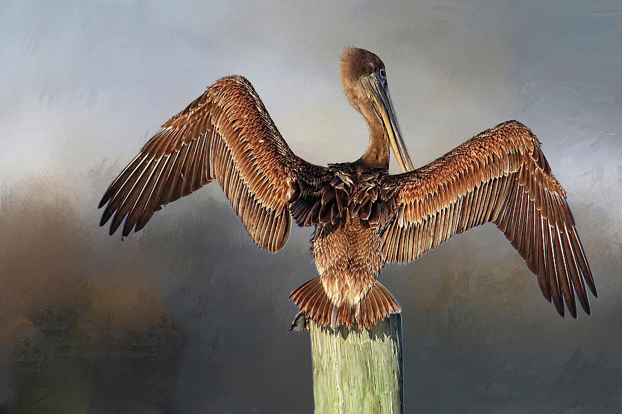 Brown Pelican - Strike A Pose Photograph by HH Photography of Florida