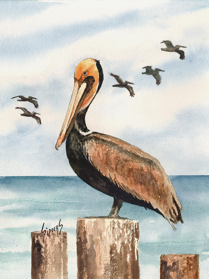Pelican Painting - Brown Pelicans by Sam Sidders