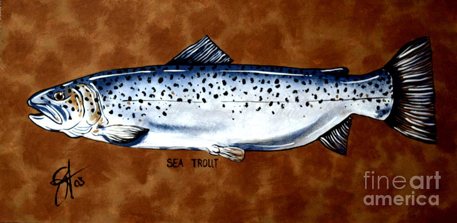 Brown Sea Trout Fly Fishing Fish Deep Sea  Painting by Jackie Carpenter