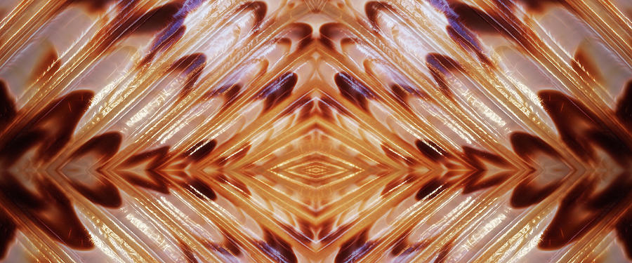Brown Shell Abstract Panoramic Photograph by Gill Billington