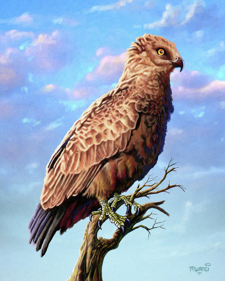 Brown Snake Eagle Painting by Anthony Mwangi