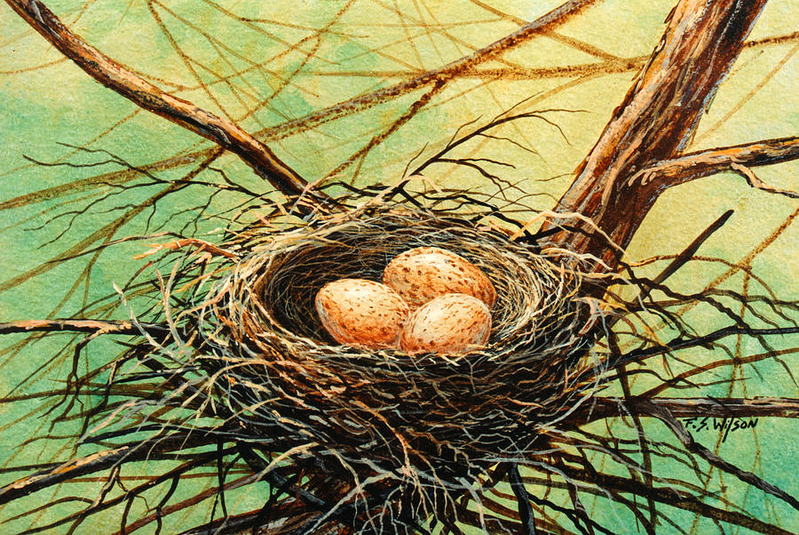 Brown Speckled Eggs Painting by Frank Wilson