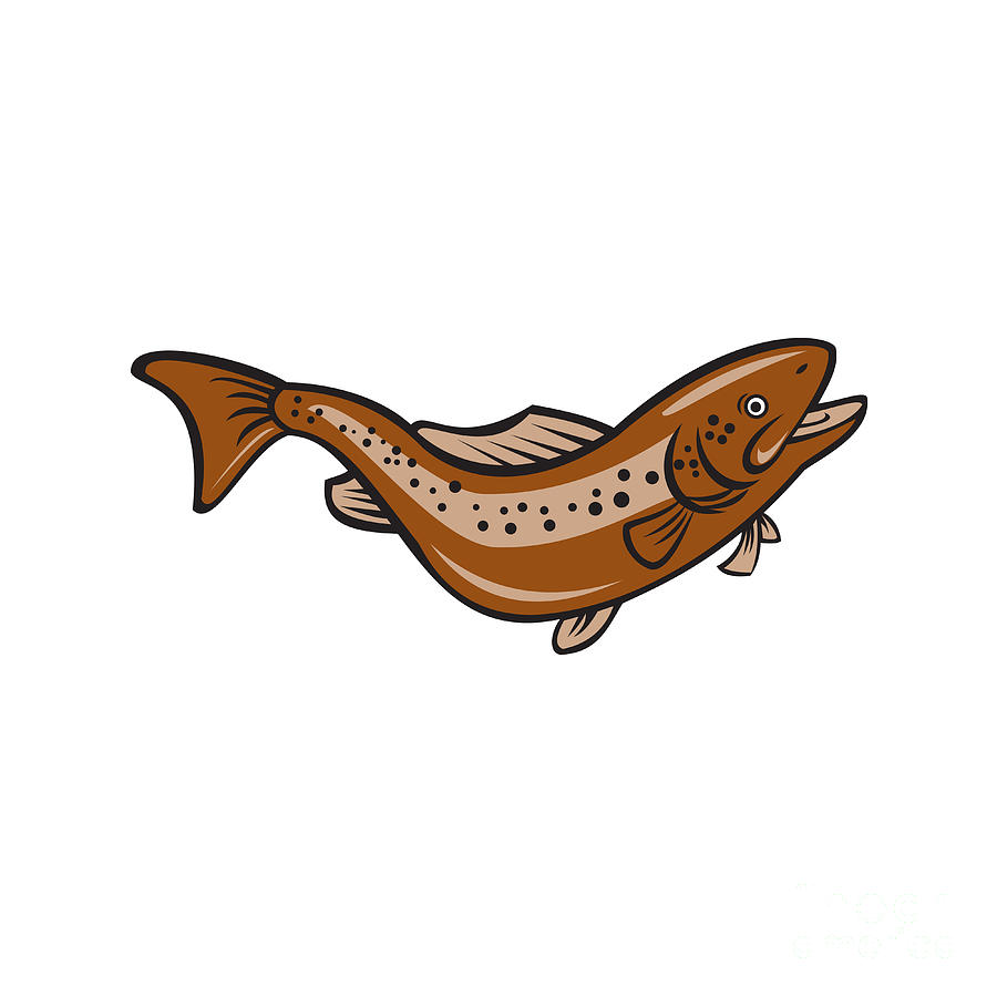 Trout Digital Art - Brown Spotted Trout Jumping Cartoon by Aloysius Patrimonio