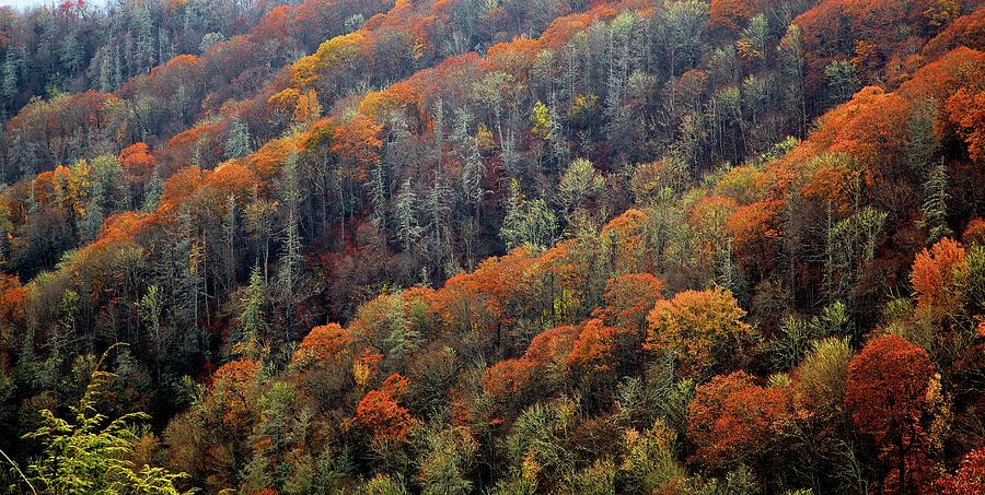 Landscape Photograph - Brown Stripes  by Alberto Audisio