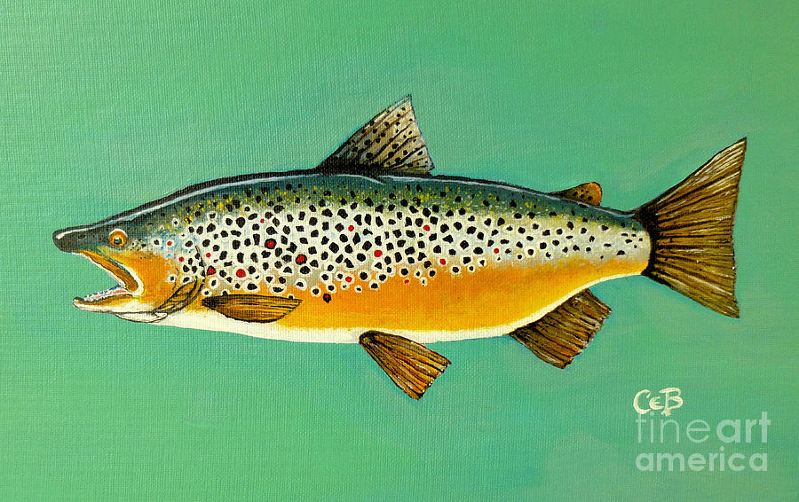 Brown Trout Painting by Chad Berglund