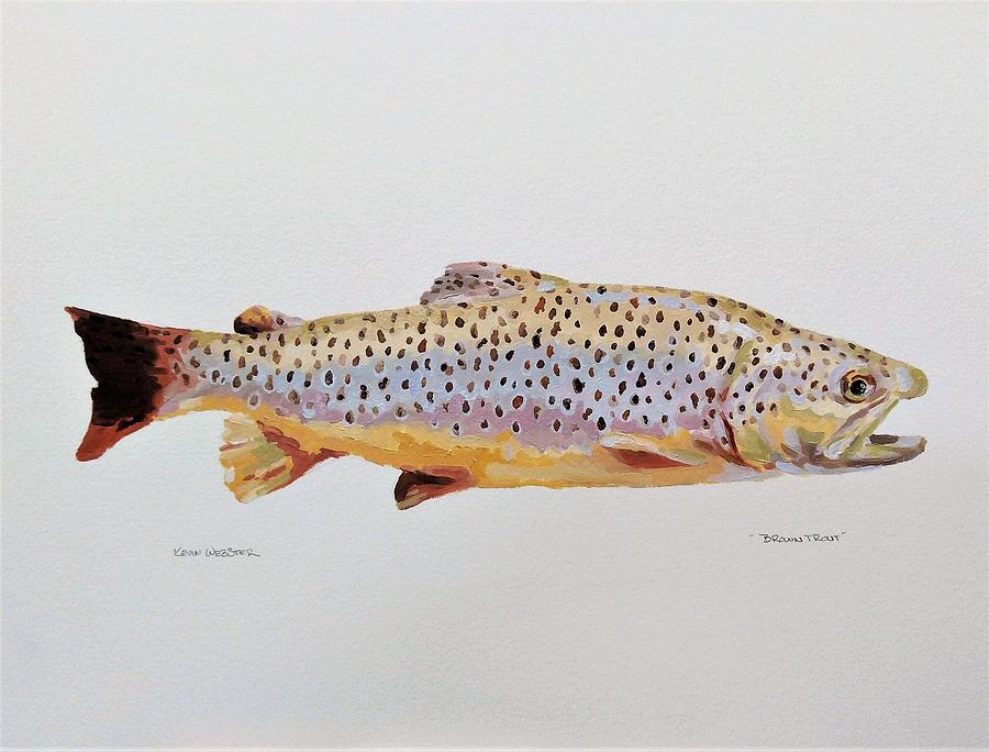 Brown Trout Painting by Kevin Webster - Fine Art America