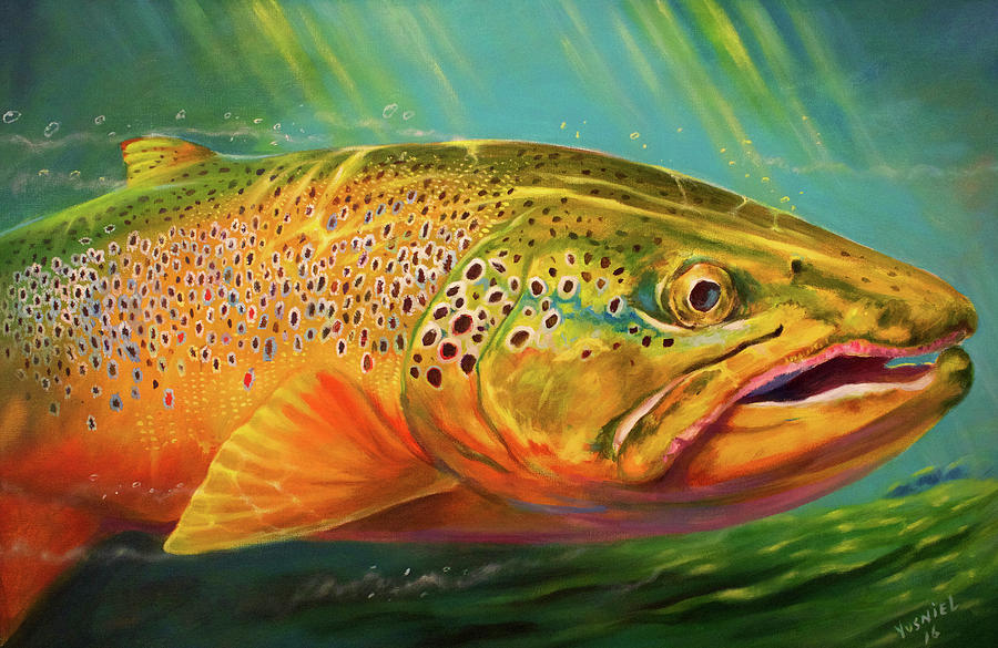 Brown Trout Portrait Digital Art by Yusniel Santos