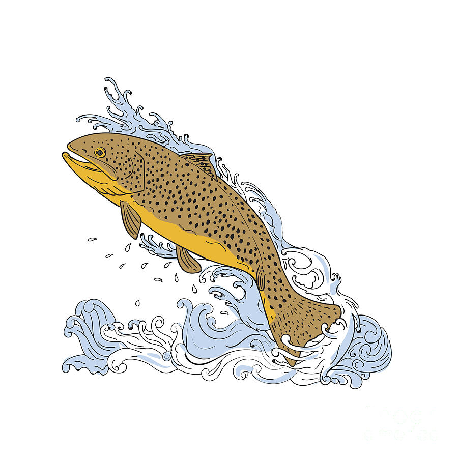 Trout Digital Art - Brown Trout Swimming Up Turbulent Water Drawing by Aloysius Patrimonio