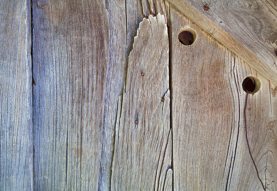 Brown Wood Barn Door Photograph by David Letts