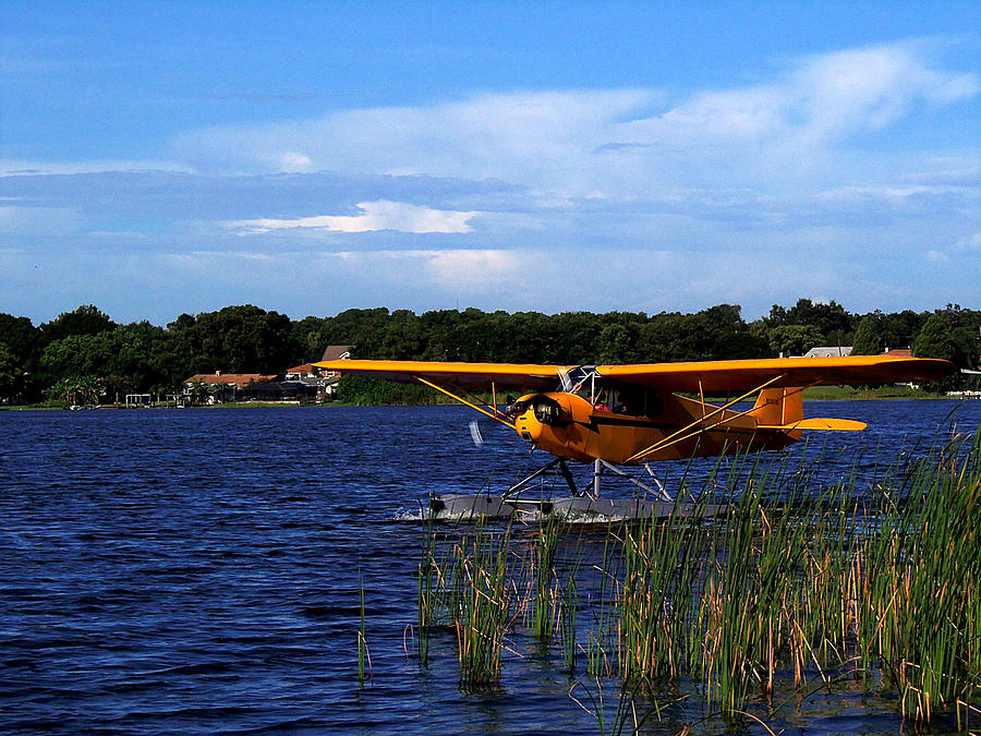 Browns Piper Cub 008 Photograph by Christopher Mercer