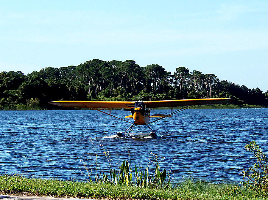 Browns Piper Cub 010 Photograph by Christopher Mercer