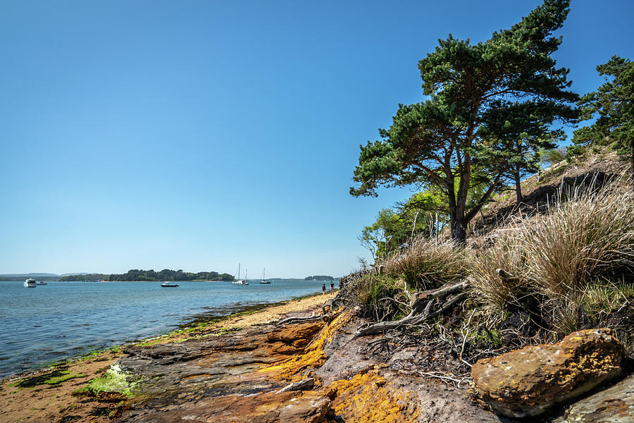 Brownsea Island Shore Photograph by Framing Places