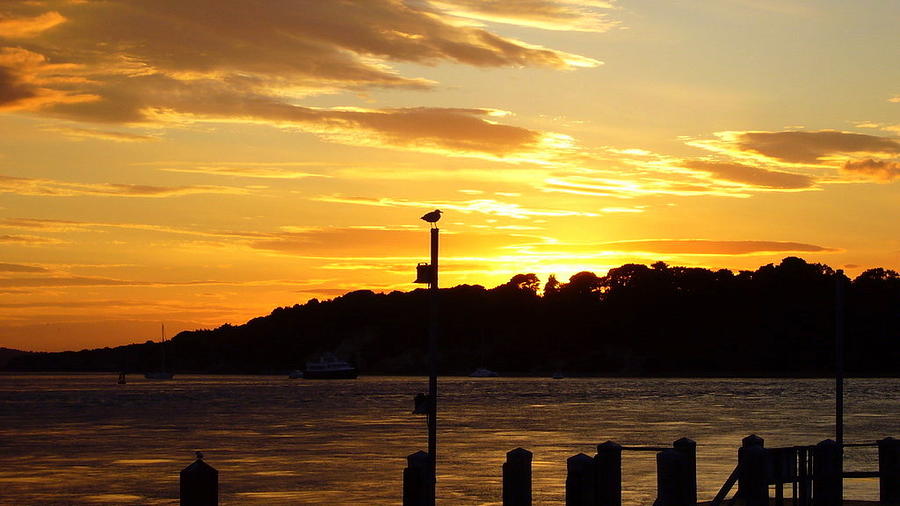 Brownsea Island Sunset 2 Photograph by Gordon James