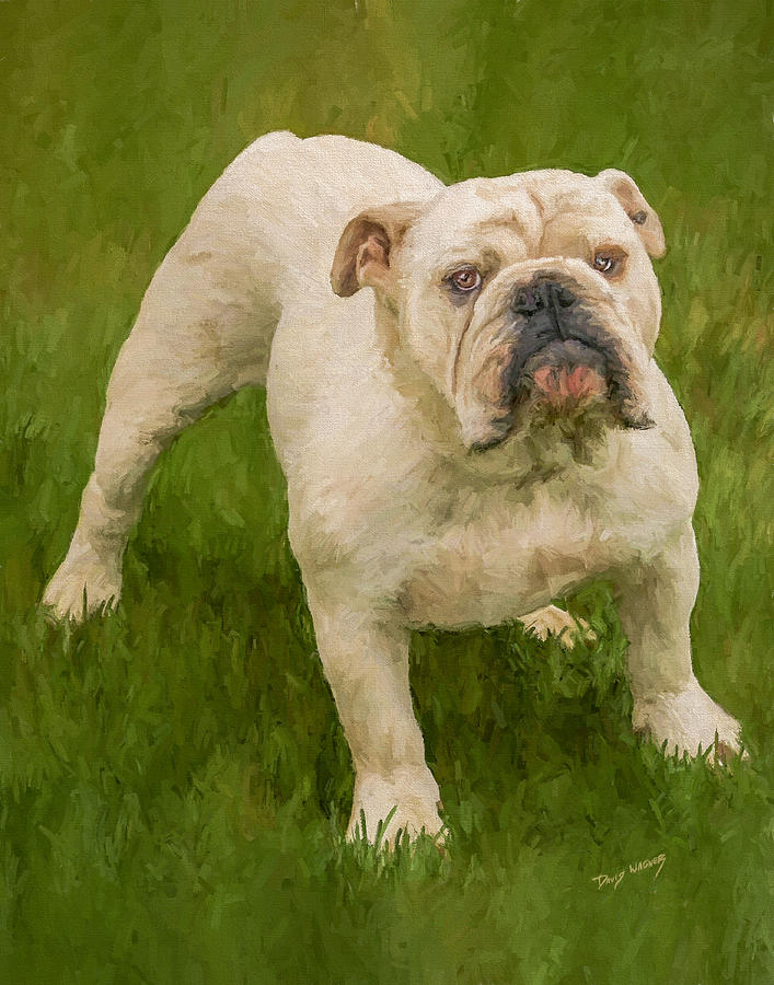 Bruce the Bulldog Painting by David Wagner