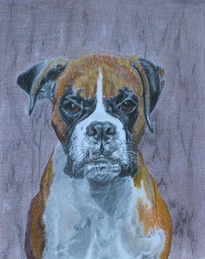Bruce Drawing by Vera Smith