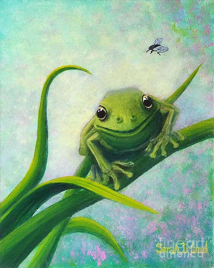 Bruces Frog Painting by Sarah Irland