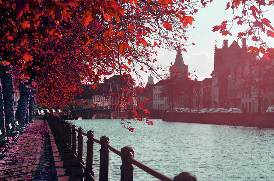 Bruge in Red Fall colors Photograph by Haleh Mahbod
