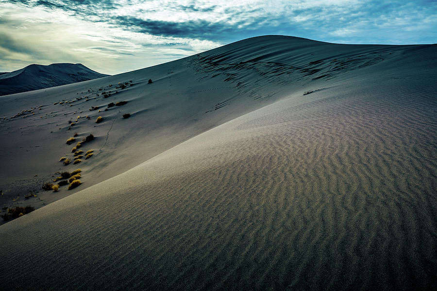 Sand Dunes Photograph - Bruneau 6 by Mike Penney