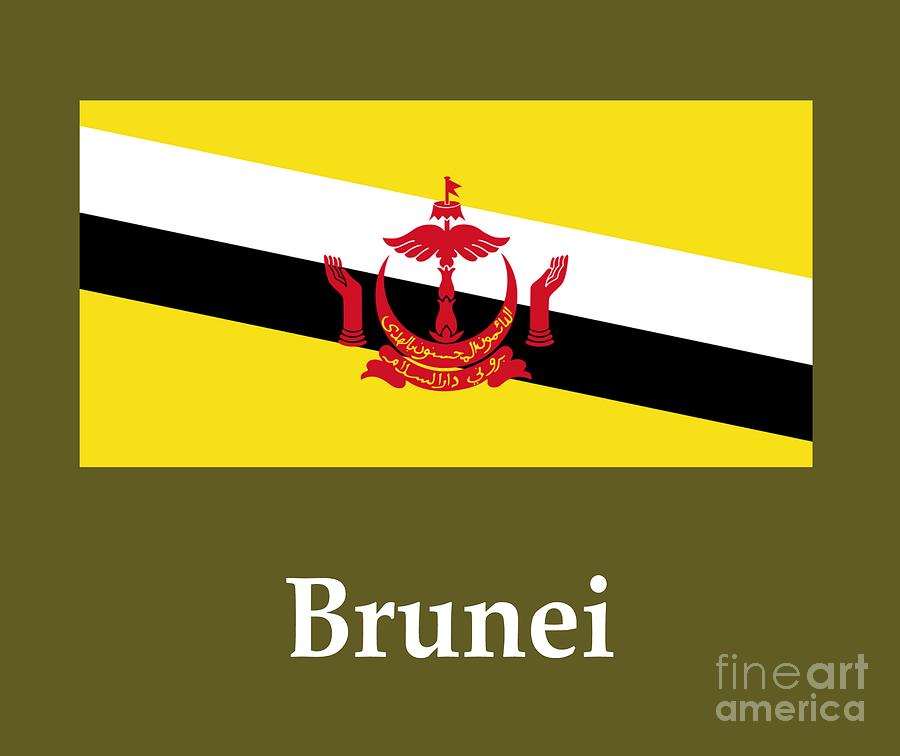 Brunei Flag And Name Digital Art By Frederick Holiday Fine Art America 8089