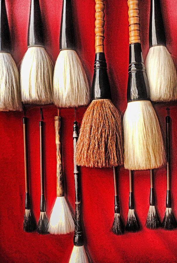 Brushes Photograph by Dennis Cox