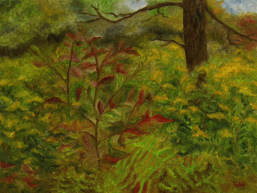 Brushy Woods Painting by FT McKinstry