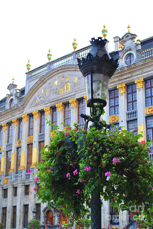 Brussels Blossoms Photograph By Jost Houk Fine Art America