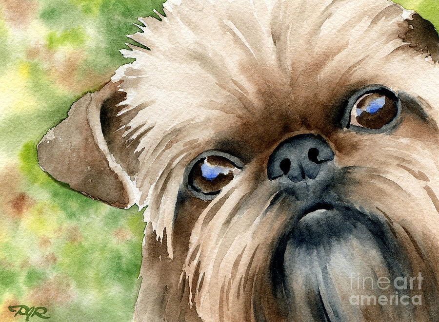 Griffon Painting - Brussels Griffon by David Rogers