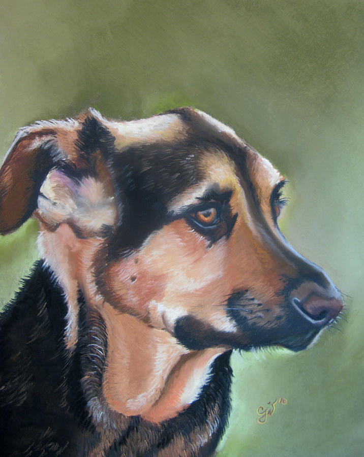 Dog Pastel - Brutis by Candice Wright