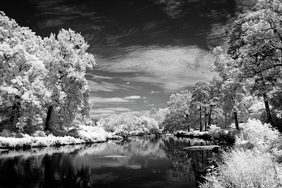 Bryan Lake -1 Photograph by Alan Hausenflock