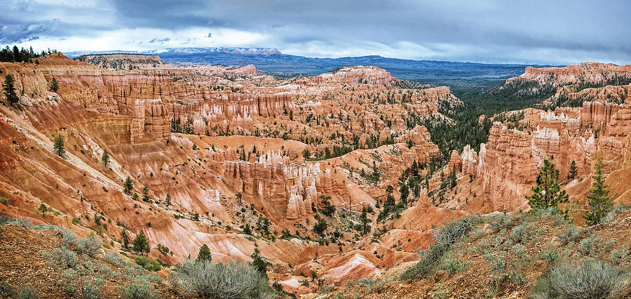 Bryce Amphitheater Digital Art by Anita Hubbard - Fine Art America