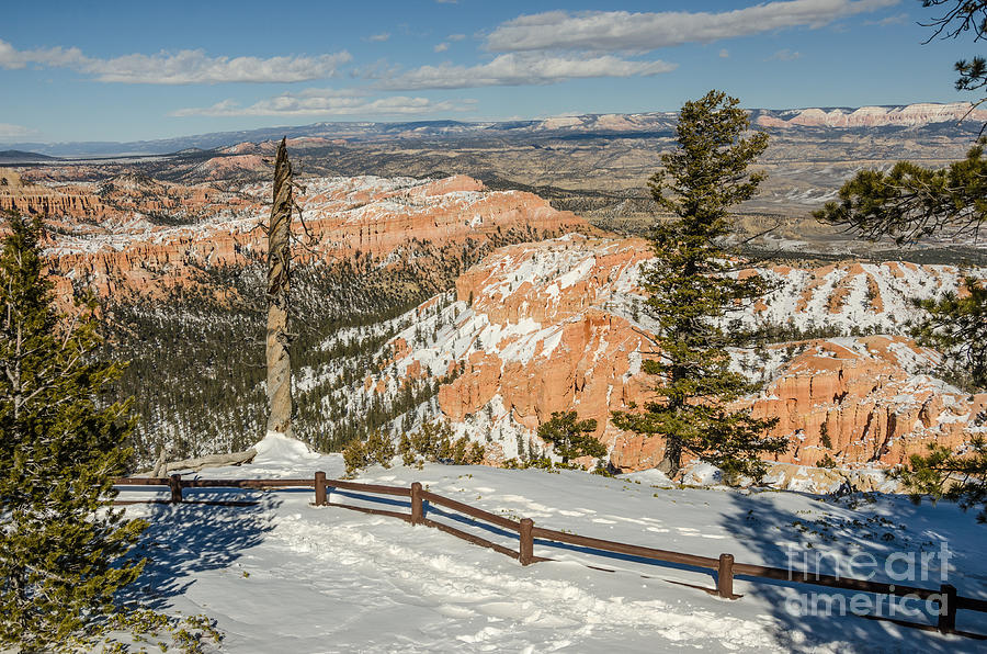 Bryce Amphitheater from Bryce Point Photograph by Sue Smith