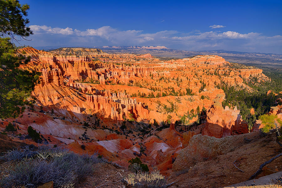 Bryce Amphitheater Photograph by Greg Norrell