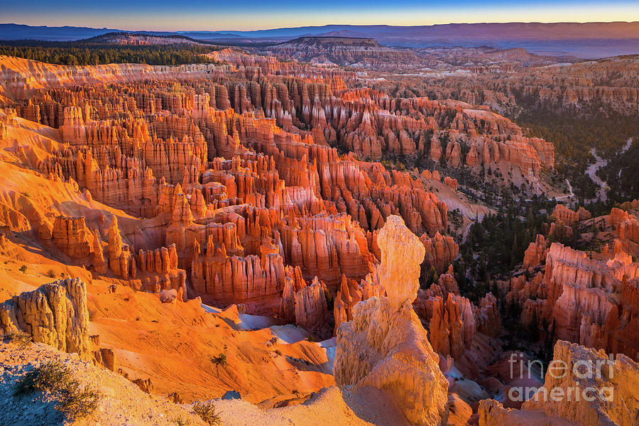 Bryce Amphitheater Photograph by Inge Johnsson