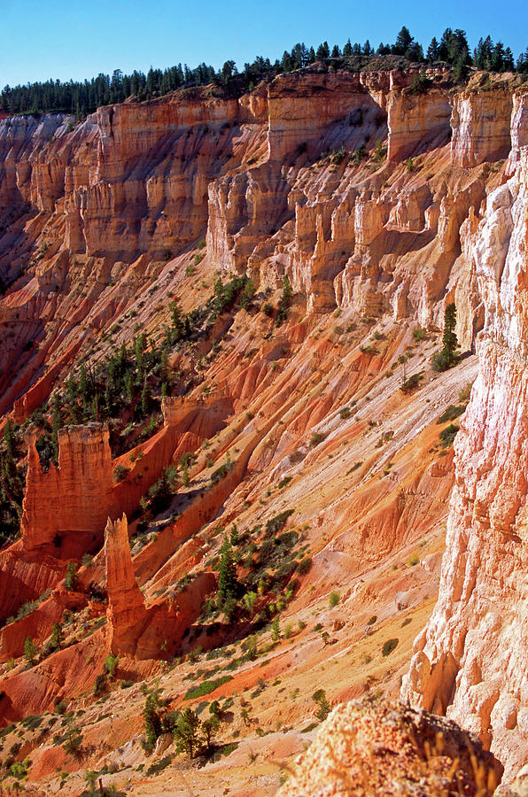 Bryce Amphitheater  Photograph by Sally Weigand