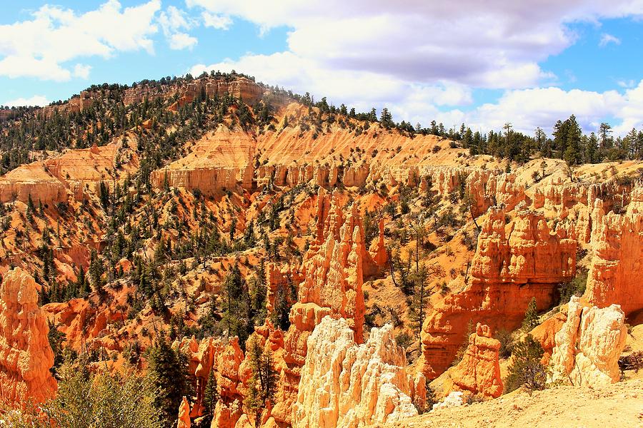 Bryce Beauty 1 Photograph By Taylor Munson