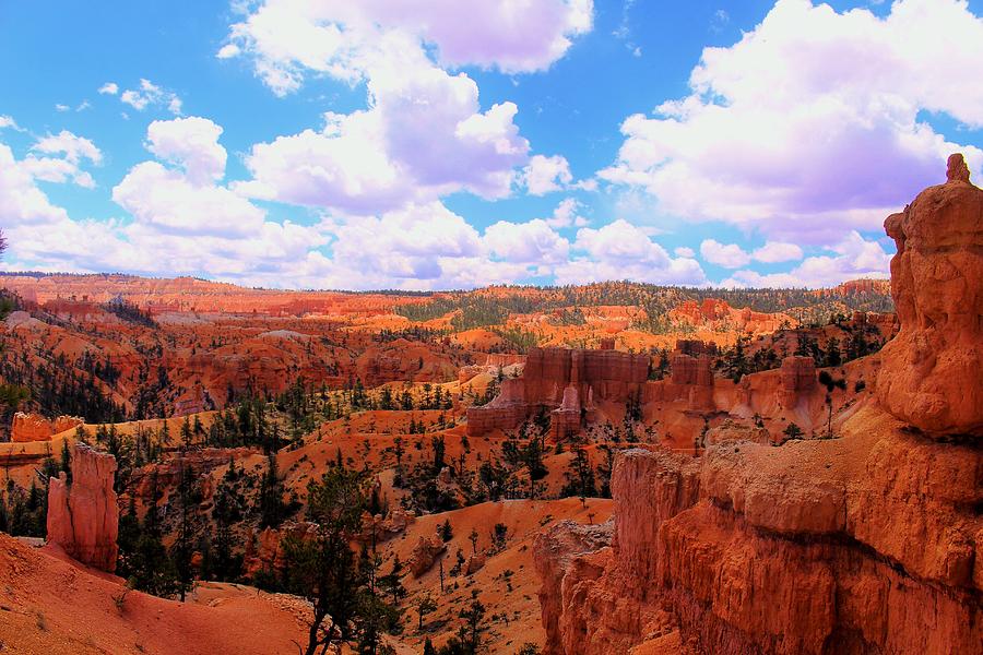 Bryce Beauty 2 Photograph By Taylor Munson Fine Art America