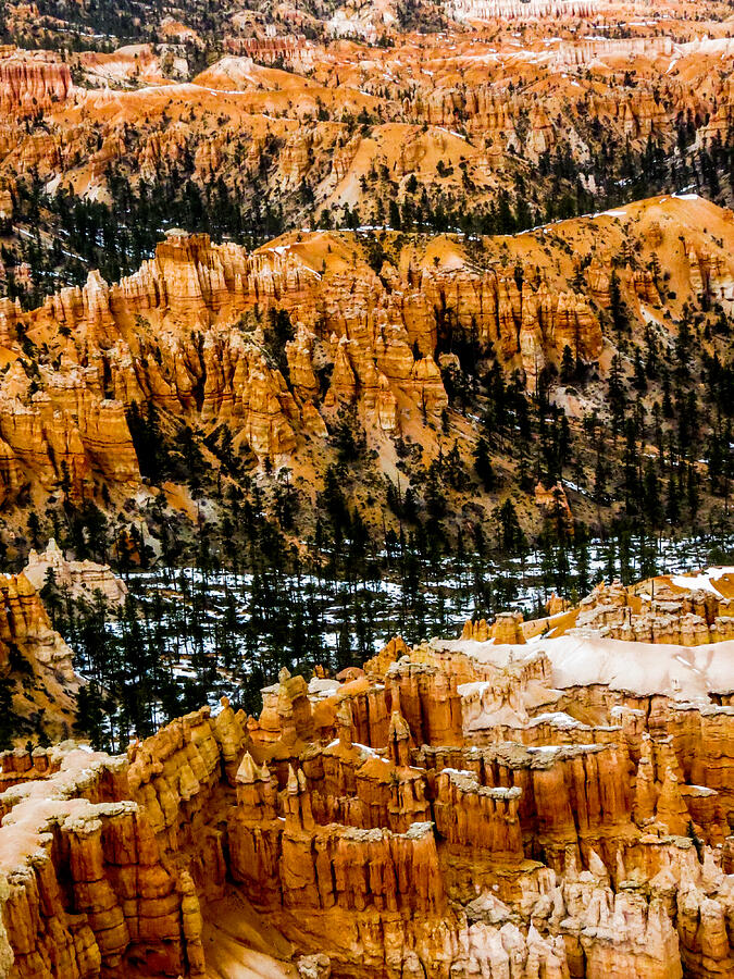 Bryce Canyon Series #3 Photograph by Patti Deters