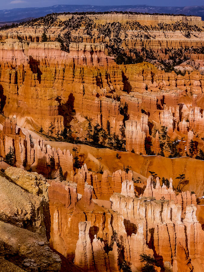 Bryce Canyon Series #4 Photograph by Patti Deters