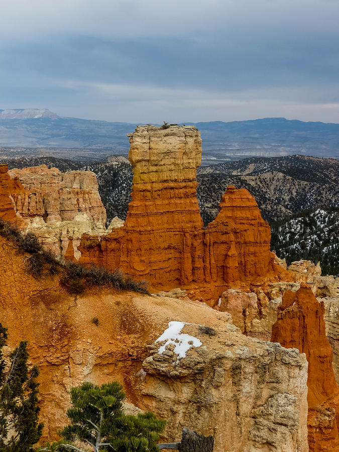 Bryce Canyon Series #5 Photograph by Patti Deters