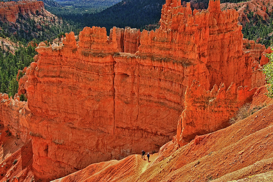 Bryce Canyon 17 - Sunrise Point Photograph by Allen Beatty