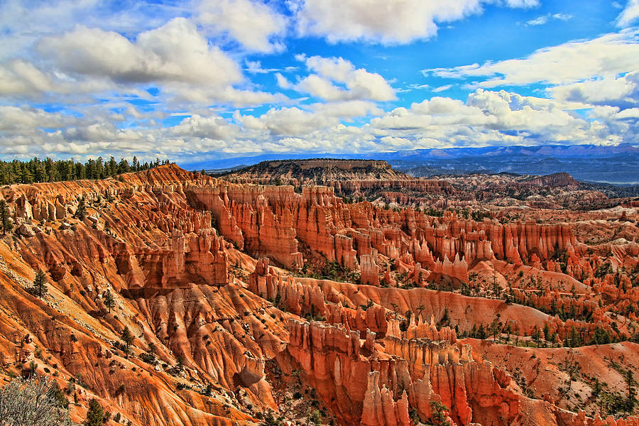 Bryce Canyon 24 - Sunrise Point Photograph by Allen Beatty