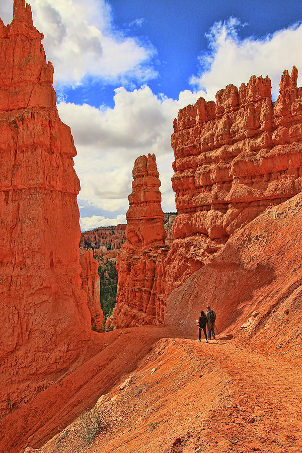 Bryce Canyon 25 - Sunrise Point Photograph by Allen Beatty