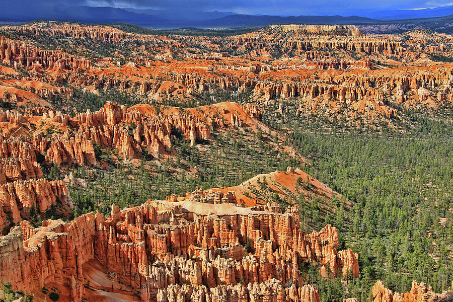 Bryce Canyon 31 - Bryce Point Photograph by Allen Beatty